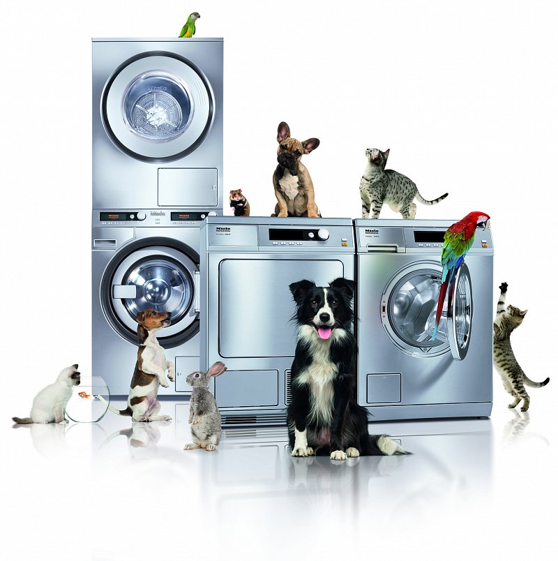 Miele Little Giants with a selection of animals